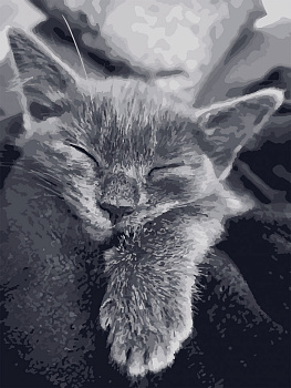 Картина за номерами. Art Craft "Котяча подяка" 40 * 50 см 11612-AC